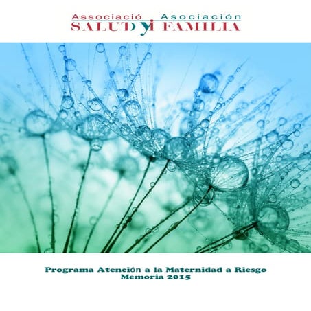 Programa atención a la maternidad a riesgo.2015.  orientación jurídica y apoy...