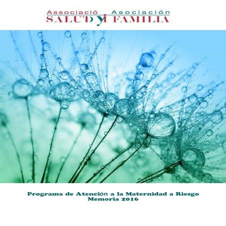 Programa atención a la maternidad a riesgo.2016