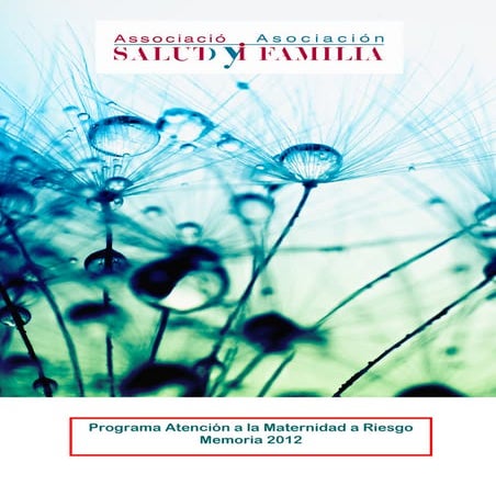 Memoria 2012 Programa Atención a la maternidad a riesgo 
