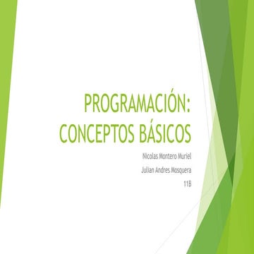 Programación: conceptos básicos 