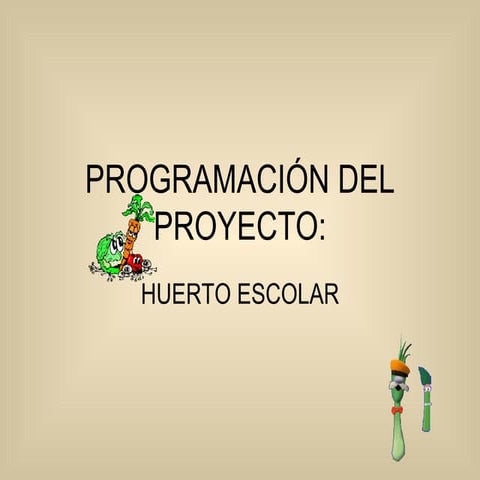 ProgramacióN Del Proyecto