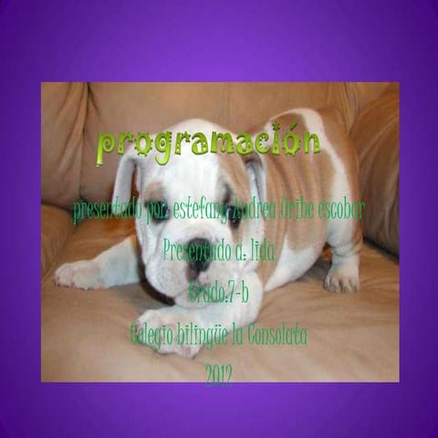 Programacion 7 b