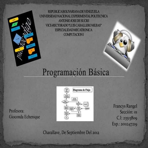 Programación básica (pseudocodigos)