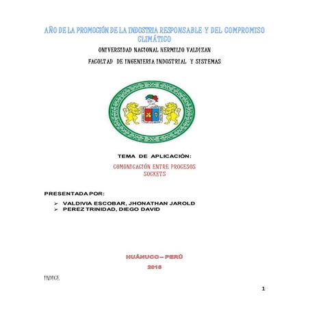 Programacion en sockets informe