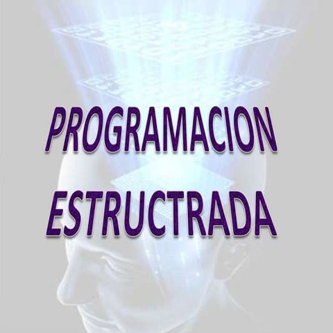 Programacion estructurada