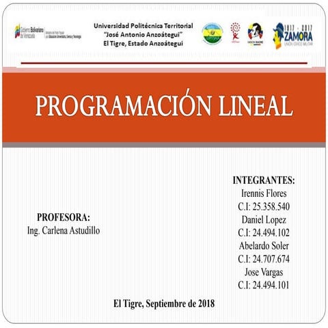 Programacion lineal