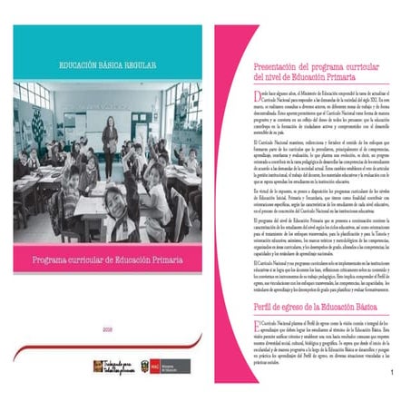 Programa Curricular  Primaria Completo.docx