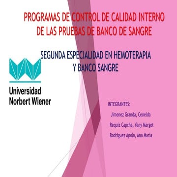 programa de control interno de calidad.pptx