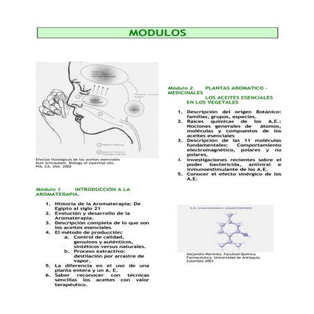 FORMACIÓN: USO CIENTÍFICO DE LOS ACEITES ESENCIALES