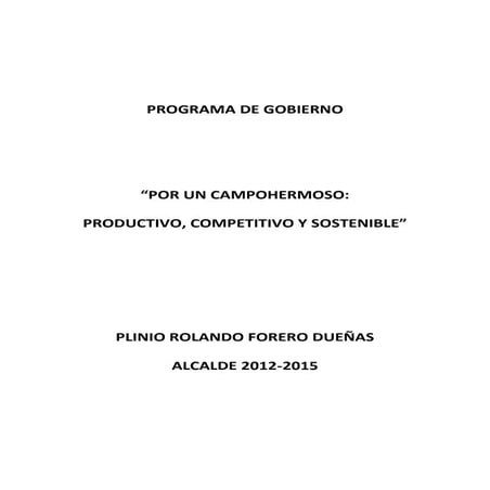 Programa de gobierno2