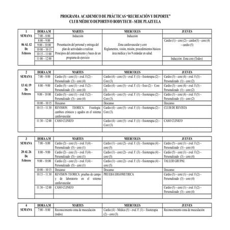 Programa de paracticas plazuela 2012