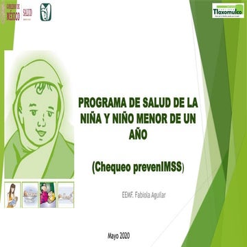INSTRUCTIVO LLENADO FORMATO RAIS MED PRE | PDF