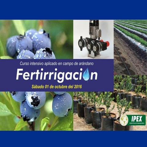 Fertirrigación de Arándano