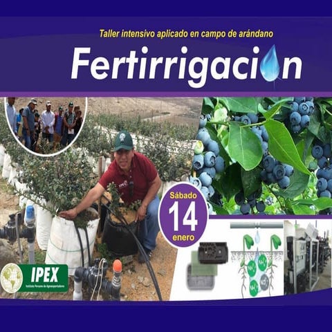 Programa fertirrigación de arandano 2017