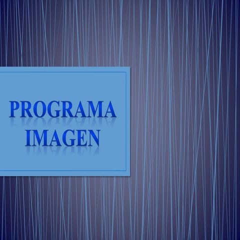 Programa imagen