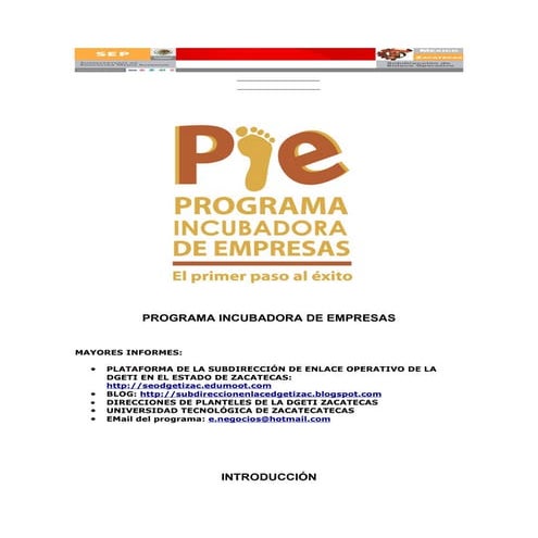 Programa incubadora de empresas (PIE)