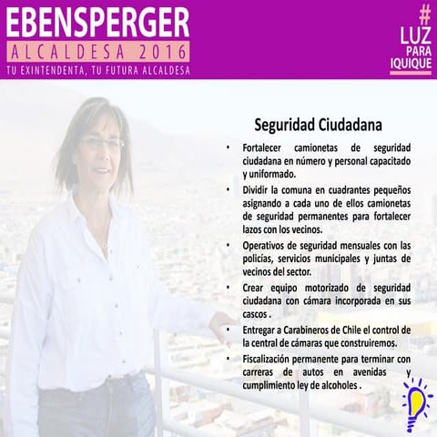 Programa Candidata Luz Ebensperger PPT