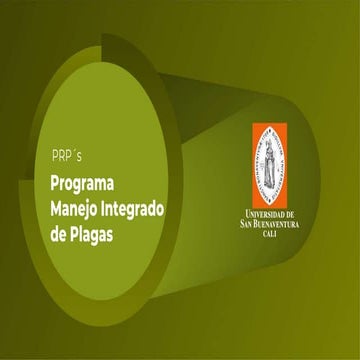 Programa MIP slideshare.pptx