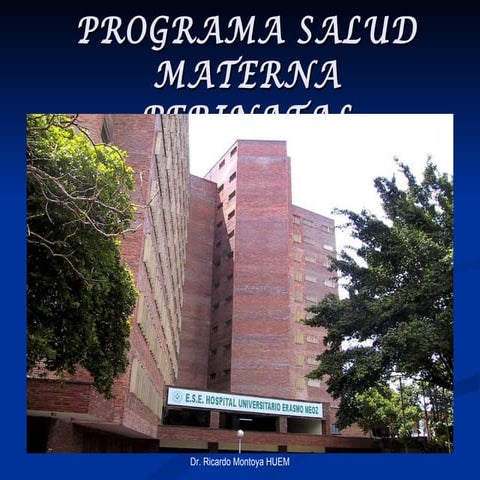 Programa de salud materna y perinatal