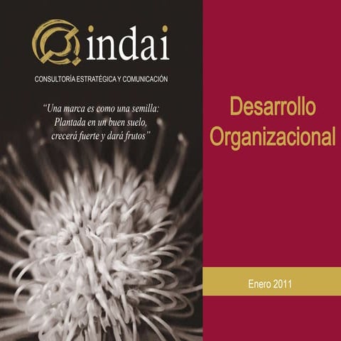 Programas de formacion 2011