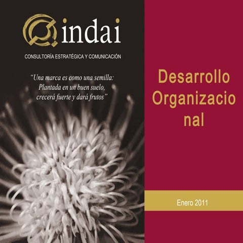 Programas De Formacion 2011