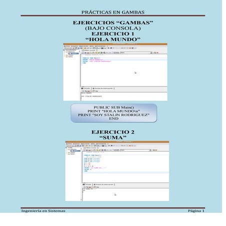 Programas Gambas