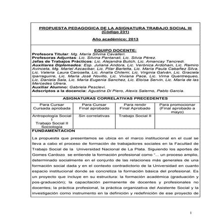 Programa ts iii 2013