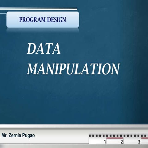 Program design data manipulation2