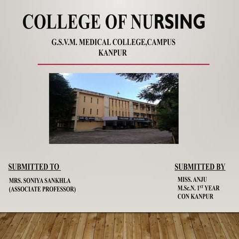 program instruction.pptx.programe direction