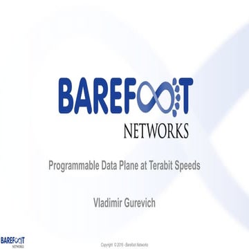 Programmable data plane at terabit speeds