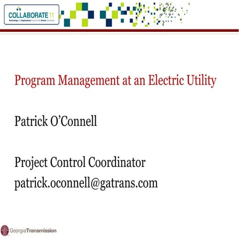 Program management at an electric utility