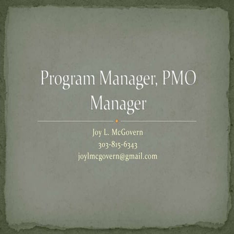 Program Manager, PMO Manager