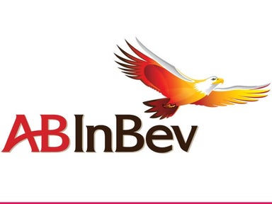 Programmatic advertising proposal for Anheuser-Busch In Bev