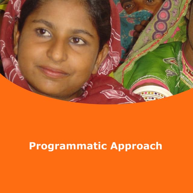 Programmatic approach: External presentation may 2011