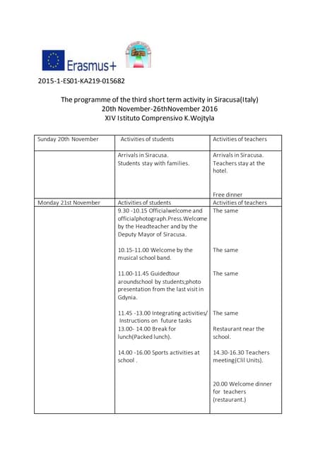 Short-term Learning Activity in Sir...