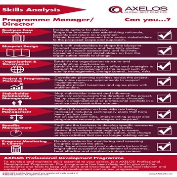 Programme Manager/Director - Skills Analysis