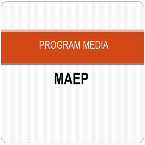 Program media