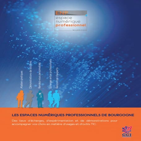 Programme ENP Bourgoge 2012