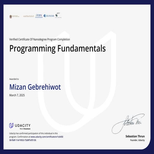 Programming Fundamentals.pdf it is sertf | PDF