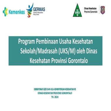 PROGRAM PEMBINAAN PELAKSANAAN USAHA KESEHATAN SEKOLAH DINAS KESEHATAN ...