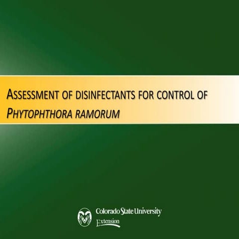 Assessment of disinfectants for control of Phytophthora ramorum