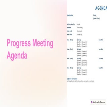 Progress Meeting Agenda and Presentation of Data