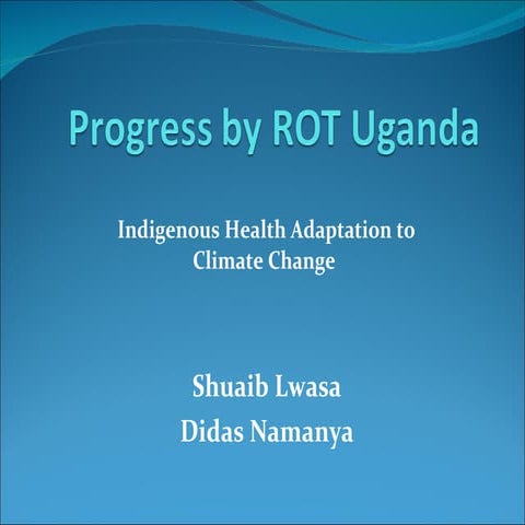 Uganda team progress report