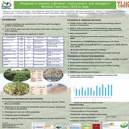 Progress in cowpea cultivation, improvement, and storage in burkina faso from 1978 to date