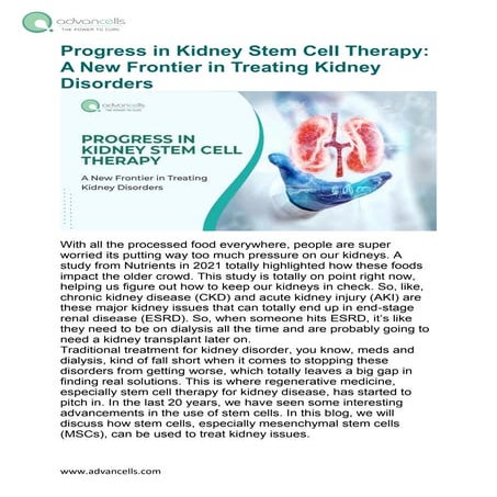 Progress in Kidney Stem Cell Therapy: A New Frontier in Treating Kidney ...