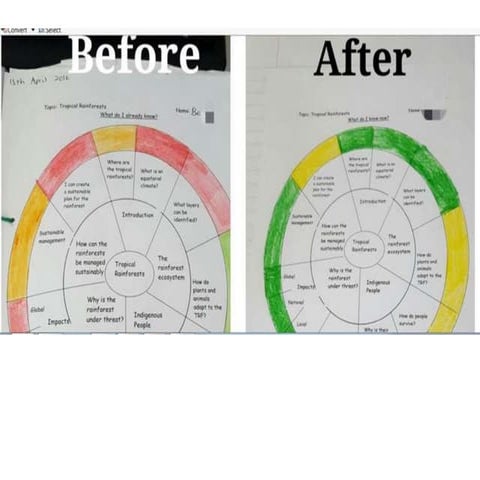 Progress or revision idea