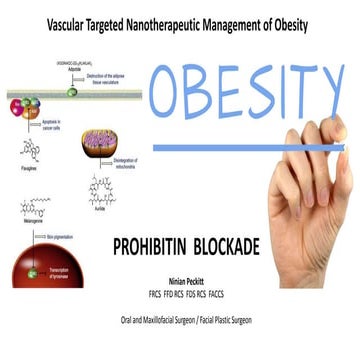 Vascular Targeted Nanotherapeutic Management of Obesity 