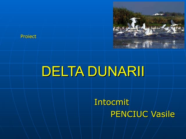 Proiect la geografie
