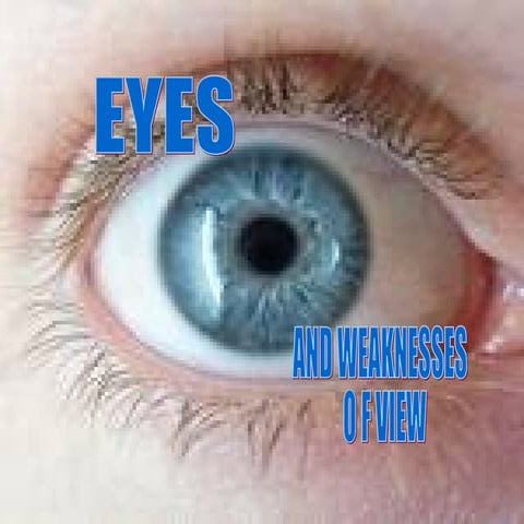 P roiect ochiul dogariu cerasela