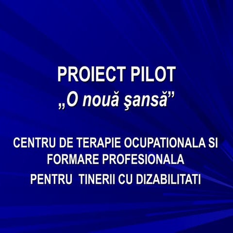 Proiect pilot tineri cu dizabilitati